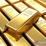 kontak perkasa futures marein