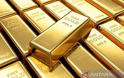 kontak perkasa futures marein